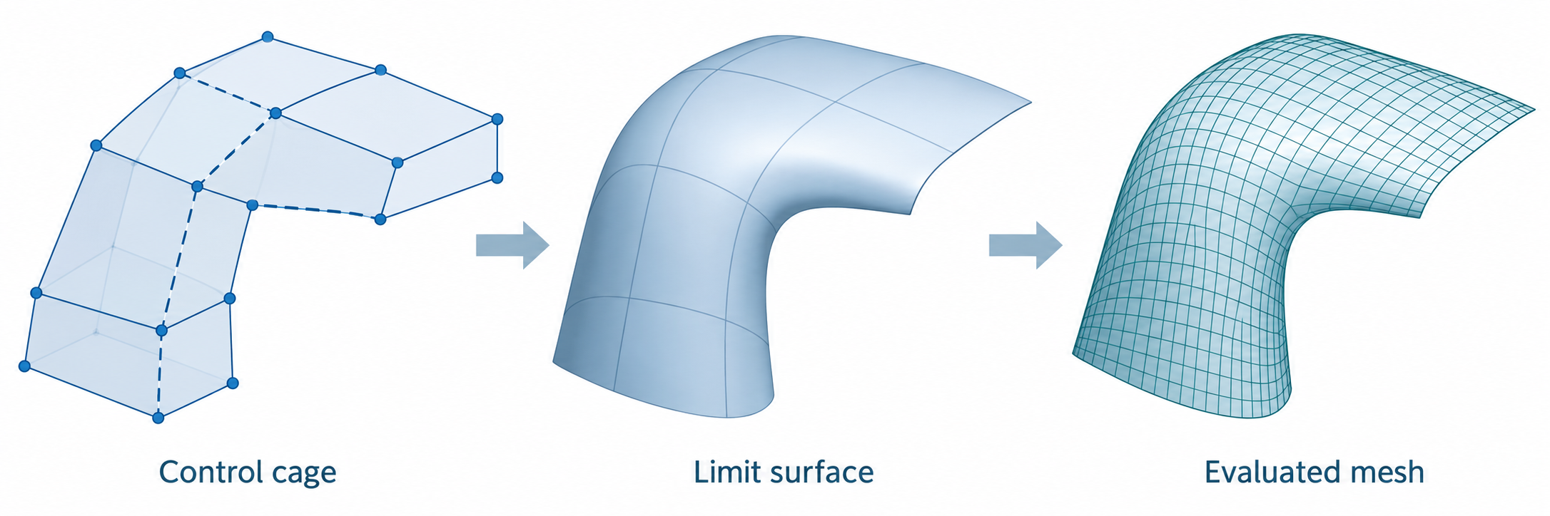 Subdivision control cage, smooth limit surface, and evaluated mesh