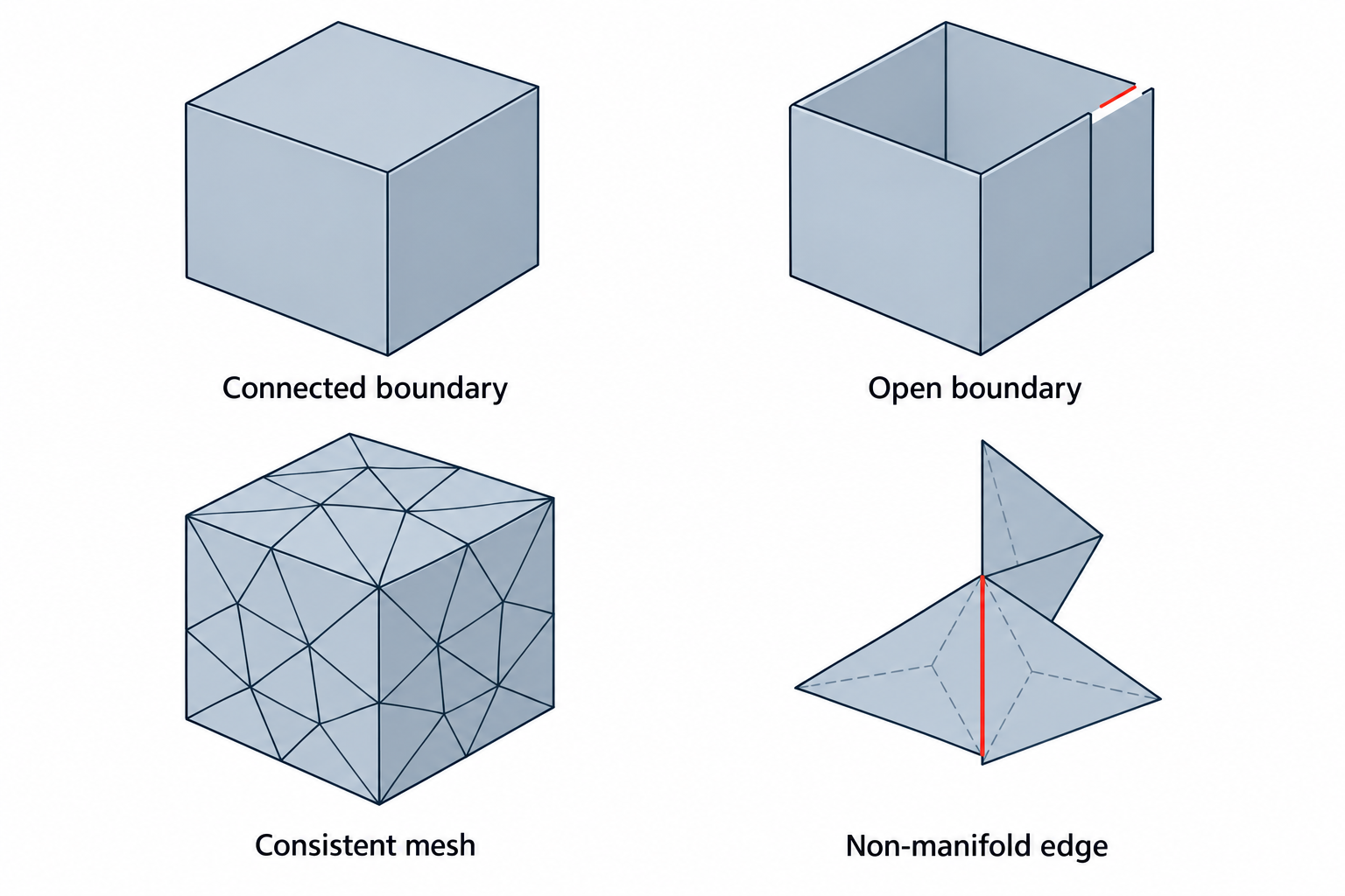 Examples of connected boundaries, an open boundary, consistent mesh connectivity, and a non-manifold edge